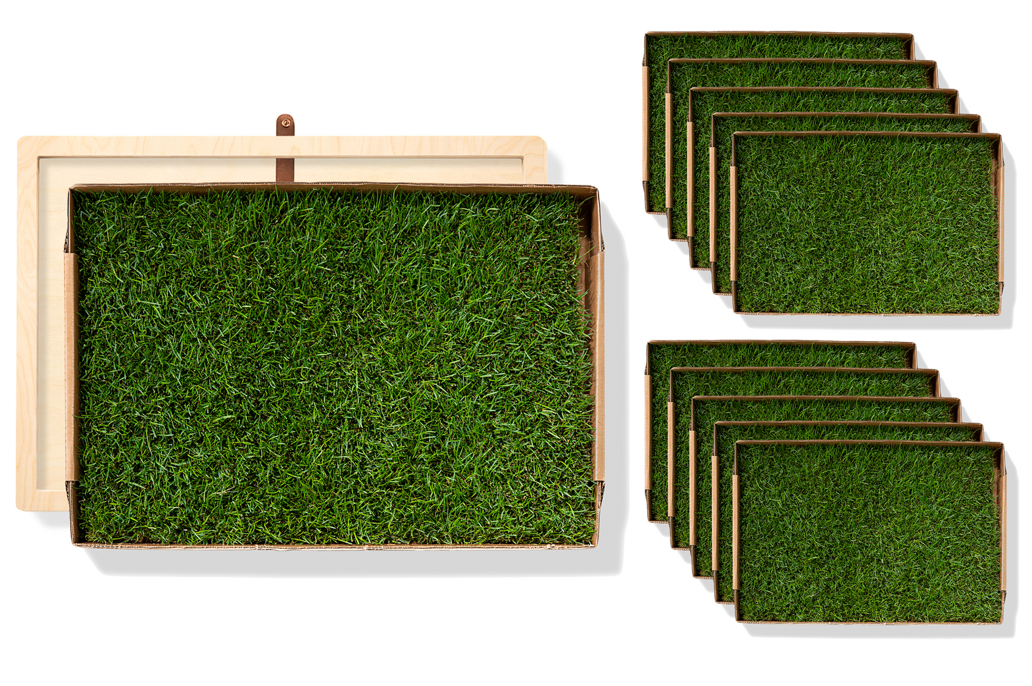 Rootful Grounding Mat + 1 year grass