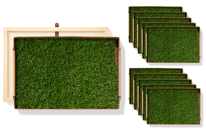 Rootful Grounding Mat + 1 year grass