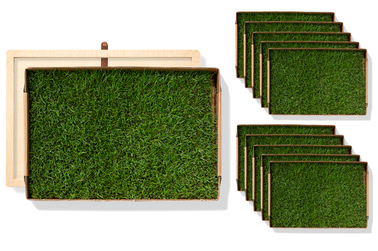 Rootful Grounding Mat + 1 year grass