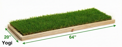 Rootful Grounding Membership