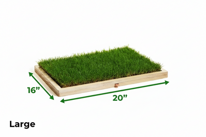 Rootful Large Grounding Base + Grass (16"x20")