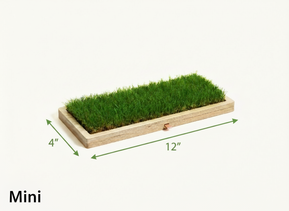 Rootful Grounding Base + Grass - Mini (4"x12")