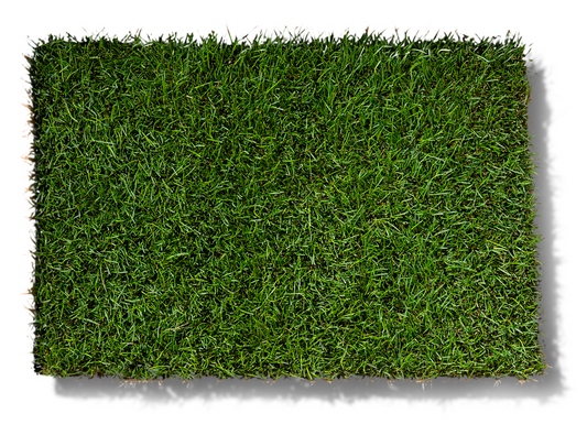 Fresh California Bermuda Grass Mat