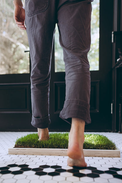 Rootful Grounding Mat + 1 year grass