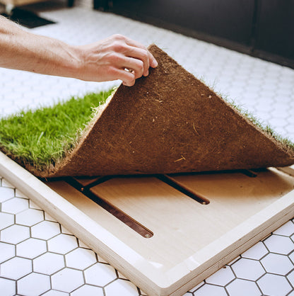 Rootful Grounding Mat + 1 year grass