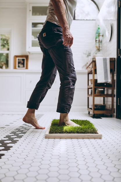 Rootful Grounding Membership