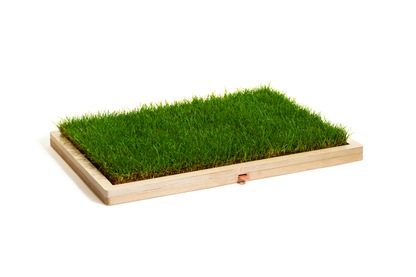 Rootful Grounding Mat Lite